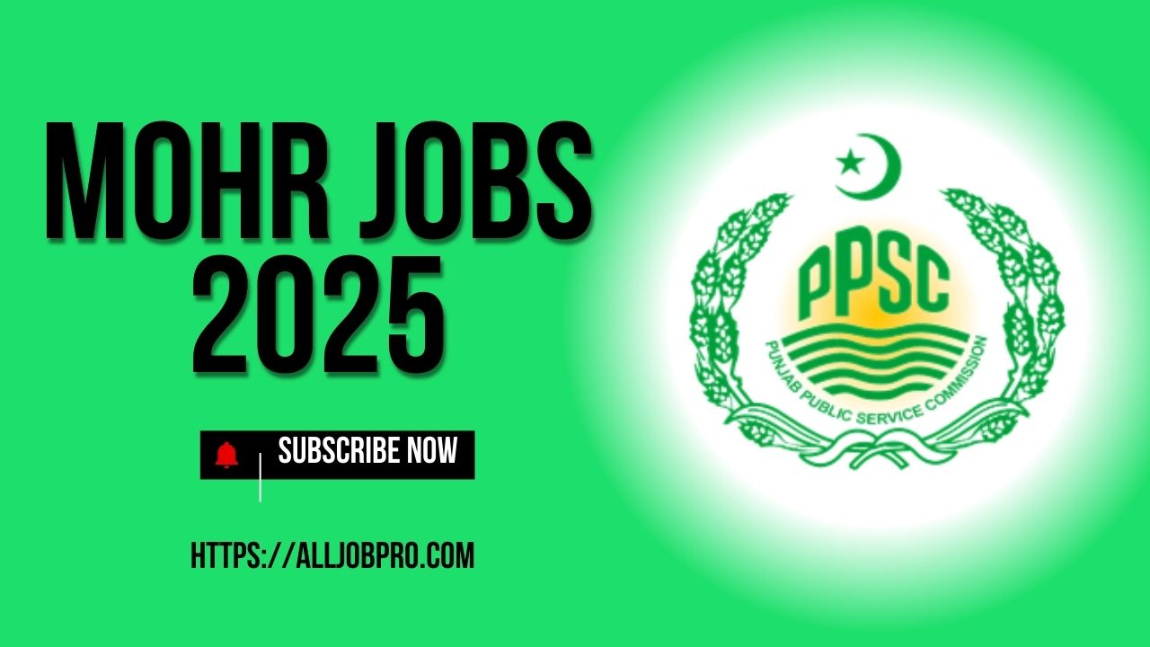 Ministry of Human Rights MOHR Jobs 2025